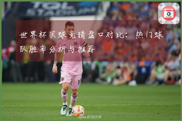 世界杯买球竞猜盘口对比：热门球队胜率分析与推荐