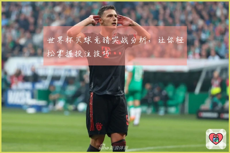 世界杯买球竞猜实战分析，让你轻松掌握投注技巧