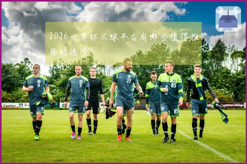 2026世界杯买球平台有哪些值得推荐的选项？