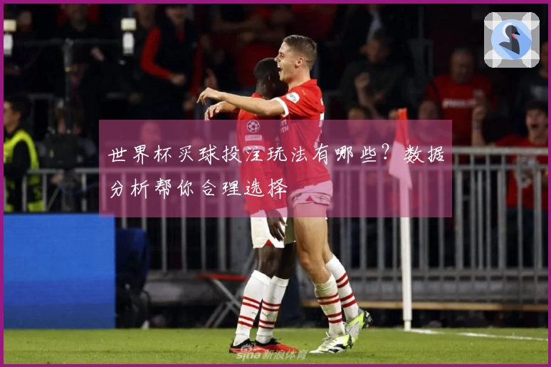 世界杯买球投注玩法有哪些？数据分析帮你合理选择