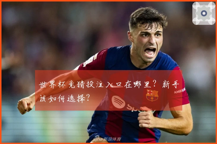 世界杯竞猜投注入口在哪里？新手该如何选择？