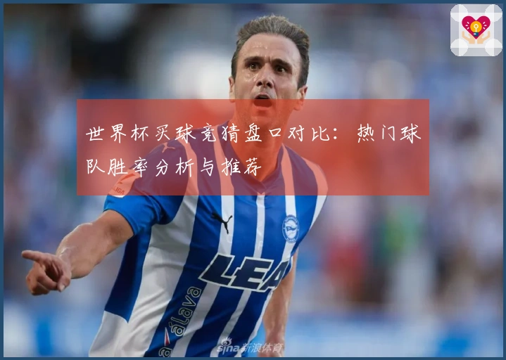 世界杯买球竞猜盘口对比：热门球队胜率分析与推荐