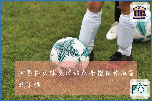 世界杯买球竞猜的新手指南你准备好了吗